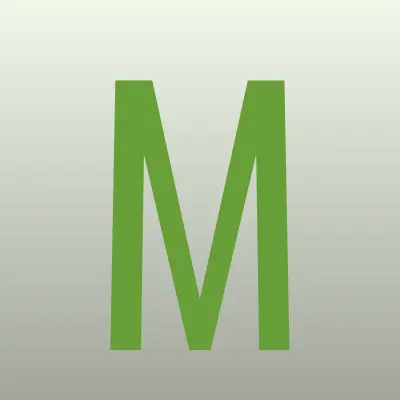 Мастер